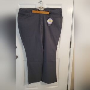 BeBop Women's Straight Leg Chino Style pants in Dark Gray